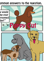 The Puppy Cut